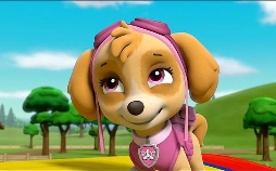Paw Patrol