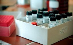 Auf den Spuren eines Giftmischers: Vergiftete Suppe