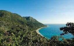 So schmeckt die Welt