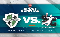 Halbzeitanalyse Handball-Bundesliga - Das Topspiel