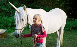 Tiere bis unters Dach