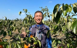 Naturjuwel Südkorea