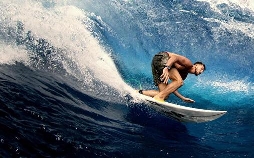 Die perfekte Welle: Die besten Surfspots der Welt