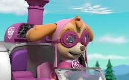 Paw Patrol