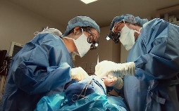 Verpfuscht - Die Beauty Docs on Tour