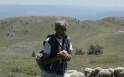 Bürgermeister, Schäfer, Witwe, Drache