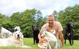 Hunde verstehen!