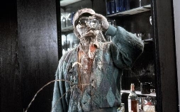 Die Geister die ich rief