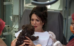 Mein Altweibersommer