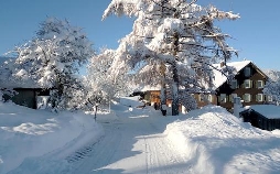 Alle Jahre wieder: Weihnachtliche Hofgeschichten