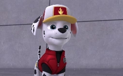 Paw Patrol
