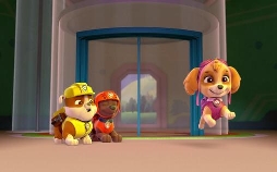 Paw Patrol