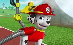 Paw Patrol