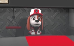 Paw Patrol
