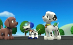 Paw Patrol
