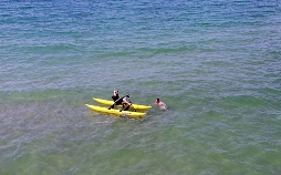 Hartz und herzlich - Tag für Tag Rostock