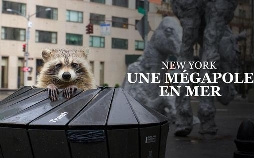 Inselwelt New York