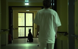 Haunted - Seelen ohne Frieden