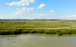 Seenland Österreich – Neusiedler See und Seewinkel