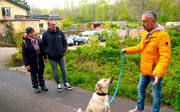 Hunde verstehen!