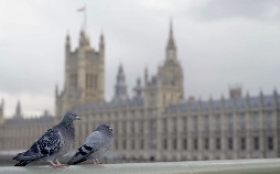 Brexit Blues: Fünf Jahre nach dem EU-Austritt