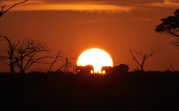 Juwel der Elefantenküste - Afrikas Wunderland Isimangaliso