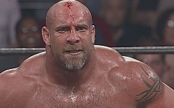 Die WWE-Schatzjäger