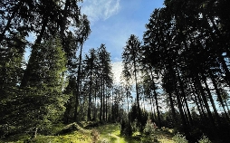 Burgen, Wälder, Nebelfelder -Thüringen nonstop