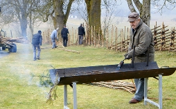 Frühling auf der Alm