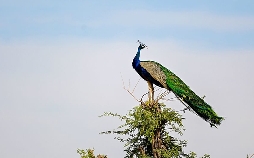 Pakistans Natur, ein fragiler Schatz