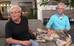 Der Hundeprofi - Rütters Team