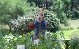 Peter Hase 2 - Ein Hase macht sich vom Acker