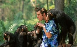 Ace Ventura - Jetzt wird's wild