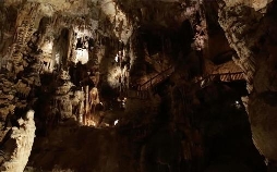 Geheime Nazi-Expeditionen