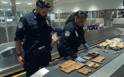 Airport Security USA