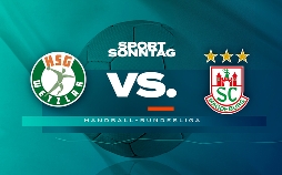 Handball-Bundesliga
