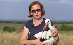 Heute im Osten - Reportage