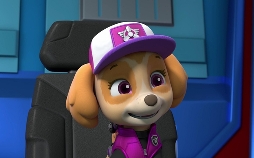 Paw Patrol