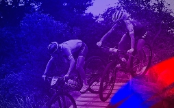 Race Bikes