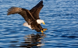 Abenteuer Wildnis