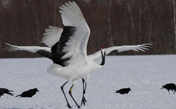 Abenteuer Wildnis