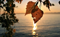 Ein Sommer am Bodensee