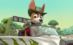 Paw Patrol