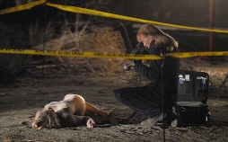 CSI: Den Tätern auf der Spur