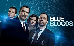 Blue Bloods - Crime Scene New York