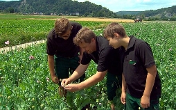 Apfel, Alpaka, Aronia - Bauern wagen Neues | TV-Programm von BR