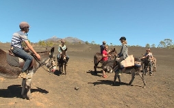 Durch die Wildnis - Teneriffa
