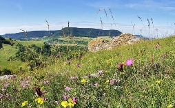 Wildes Deutschland: Die Schwäbische Alb