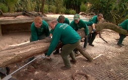 Leopard, Seebär & Co.