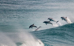 Außergewöhnliches Australien